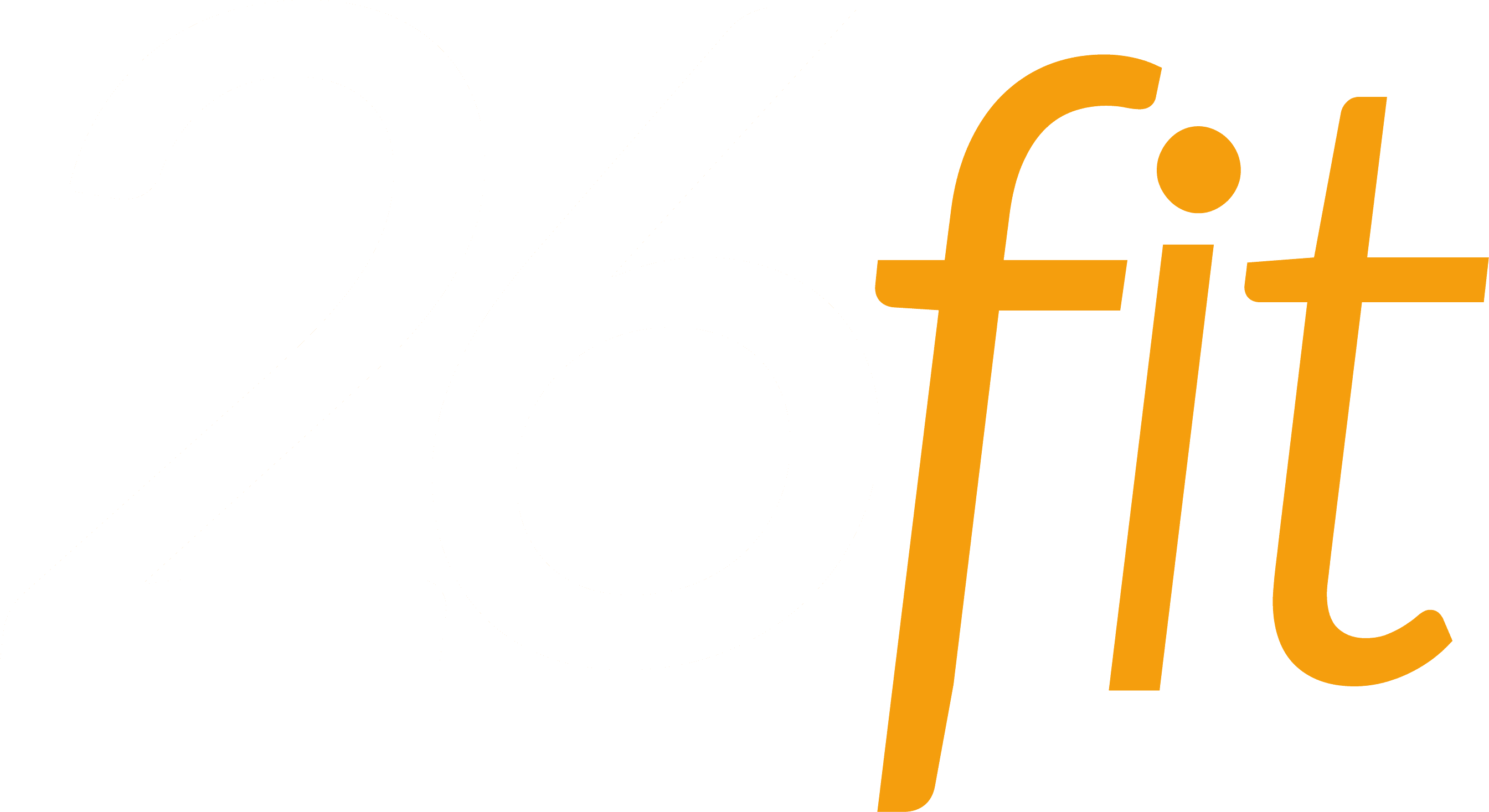Logo Footer
